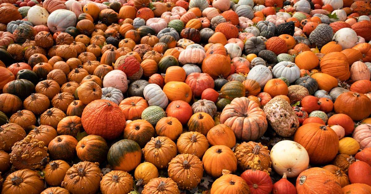 A legjobb magnézium: útmutató a megfelelő kiegészítő kiválasztásához