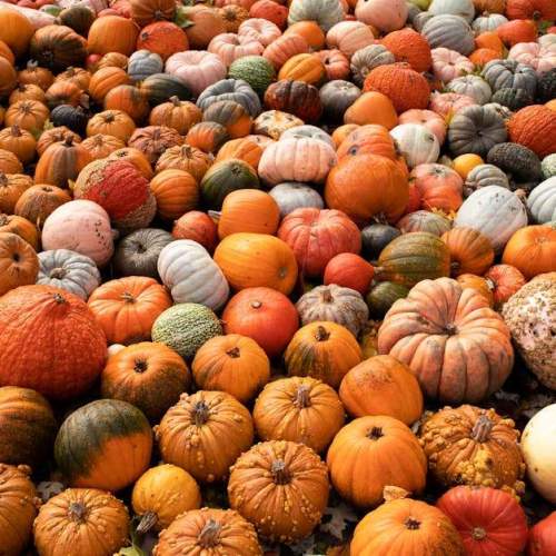 A legjobb magnézium: útmutató a megfelelő kiegészítő kiválasztásához