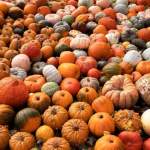 A legjobb magnézium: útmutató a megfelelő kiegészítő kiválasztásához